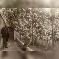 Afbeelding van G.H. Hol (1869-1937), tuinbaas op het landgoed Nieuw-Amelisweerd (Koningslaan 1) te Bunnik, met zijn zoon Bram in een druivenkas op vermoedelijk het landgoed. Bron: Het Utrechts Archief, catalogusnummer: 601686.