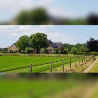Zicht op boerderij Bruxvoort aan de Lange Rijnsteeg 4 te Bennekom in juli 2021. Foto: Sander van Scherpenzeel.