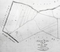 Detail uit een kadasterkaart van de gemeente Houten Sectie A van boerderij Schoneveld en omgeving vanaf 1832. Bron: Regionaal Archief Zuid-Utrecht (RAZU), 353, 45950.