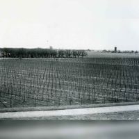 Gezicht vanaf de oprit van de Beusichemseweg naar de Goyerbrug over het Amsterdam-Rijnkanaal. Serie van vier foto&#039;s van oost naar zuid in 1988. Bron: RAZU, 353.