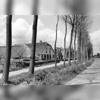 Gezicht op enkele boerderijen aan de Lagedijk te Schalkwijk (gemeente Houten) in mei 1967. Bron: HUA, 841037.