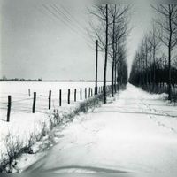 Gezicht op een ondergesneeuwde Wulfsedijk in de winter van februari 1956. Bron: Regionaal Archief Zuid-Utrecht (RAZU), 353.
