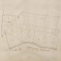 Kadastrale minuutplan uit 1832 met de lanen van landgoed Nieuw-Amelisweerd in het Oud-Wulvense Maarschalkerweerd in het jaar 1832 met links de Koningsweg. Bron: RCE, Amersfoort.