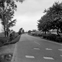 Gezicht op het Houtensepad te Utrecht, ter hoogte van boerderij Domzicht, uit het zuiden op 25 juli 1970. Bron: Het Utrechts Archief, catalogusnummer: 124347.
