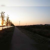 Zicht vanaf het fietspad van de Kanaaldijk Noord (Zangfietspad) in noordwestelijke richting met links het Amsterdam-Rijnkanaal met net ingepote bomen aan de kade bij een ondergaande vooravond zon. Foto: Sander van Scherpenzeel.
