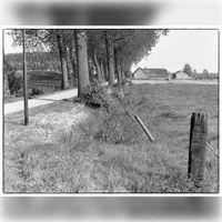 Gedeelte van de Wulfsedijk met rechts boerderij Nieuw Wulven (Keerkamp 13), thans onder andere in gebruik als kinderboerderij in 1983 naar een foto van Jos Schalkwijk. Bron: Regionaal Archief Zuid-Utrecht (RAZU), 353.