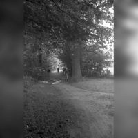 Gezicht in een pad in het bos van het Landgoed Amelisweerd op de grens tussen de gemeenten Utrecht en Bunnik in 1968. Bron: HUA, catalogusnummer: 810900.