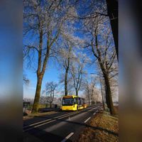 Afbeelding van een streekbus van Connexxion als lijn 43 Driebergen-Utrecht op de Koningslaan te Bunnik, tijdens winterse omstandigheden op zaterdag 10 januari 2009. Naar een foto van Victor Lansink. Bron: Het Utrechts Archief, catalogusnummer: 900052.