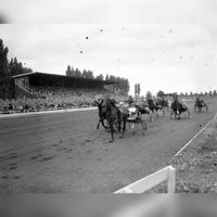 Courses op Draf- en Renbaan Mereveld ( Gouden Zweepje ), Roland aan kop op zondag 31 juli 1955. Bron: Nationaal Archief Pot, Harry / Anefo. Wikimedia Commons.