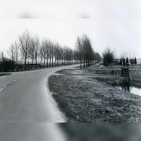 De Koppeldijk gezien vanaf de Utrechtseweg in 1982. Bron: Regionaal Archief Zuid-Utrecht (RAZU), 353.