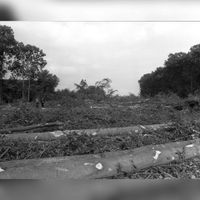 Gezicht de kaalslag noodzakelijk voor de aanleg van de Rijksweg 27 door een gedeelte van Nieuw-Amelisweerd te Utrecht in oktober 1982. Bron: Het Utrechts Archief, catalogusnummer: 79783.