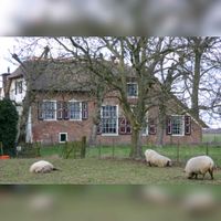 Boerderij Overdam aan de Rietdijk nr. 5 gezien in februari 2004. Bron: Regionaal Archief Zuid-Utrecht (RAZU), 353.