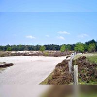 Heidegebied De Stulp in april 2014 twee zandpaden niet bij elkaar komen. Bron: Wikimedia Commons Atsje.