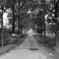Gezicht op de toegangsweg naar boerderij De Koppel (Houtensepad) te Utrecht, vanaf het Houtensepad, ter hoogte van boerderij Domzicht, uit het zuidwesten op 19 september 1970. Bron: Het Utrechts Archief, catalogusnummer: 124349.