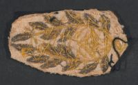 Overblijfsel van het borduursel van mijn inspecteursuniformrok, bewaard door Johan Ortt van Schonauwen uit 1880. Bron: Het Utrechts Archief, 274, 107.