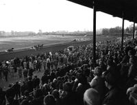 Afbeelding van de laatste paardenrennen op de renbaan Mereveld (Mereveldseweg) te Utrecht op zondag 24 oktober 1971. Bron: Het Utrechts Archief, catalogusnummer: 102199.