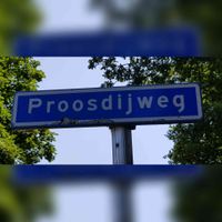 Straatnaambord Proosdijweg te Ede in juli 2021 (2). Foto: Sander van Scherpenzeel.