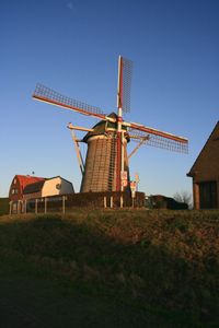 Molen de Korenaar in Stad aan &#039;t Haringvliet in januari 2008. Bron: Quistnix at nl.wikipedia.