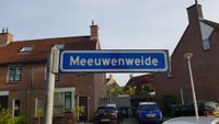 Straatnaambord Meeuwenweide op vrijdag 8 mei 2020. Foto: Sander van Scherpenzeel.
