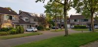 Huizen aan de Snoeksloot 34 tot 48 in mei 2020. Foto: Sander van Scherpenzeel.