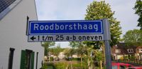 Straatnaambord 'Roodborsthaag' op vrijdag 8 mei 2020. Foto: Sander van Scherpenzeel.