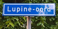 Straatnaambord Lupine-oord, 7 mei 2020. Foto: Sander van Scherpenzeel