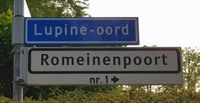 Straatnaamborden Lupine-oord en Romeinenpoort (wit-verwijzend met huisnummer aanduiding), 7 mei 2020. Foto: Sander van Scherpenzeel.