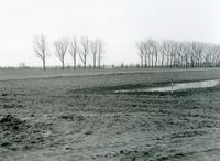 Land in de omgeving van de Warinenpoort in 1985 bij boerderij De Steenen Poort tijdens archeologische opgravingen naar de verdwenen (kasteel)toren (3). Bron: Regionaal Archief Zuid-Utrecht (RAZU), 353.