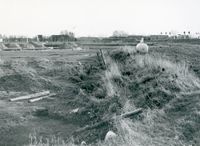 Land in de omgeving van de Warinenpoort in 1985 bij boerderij De Steenen Poort tijdens archeologische opgravingen naar de verdwenen (kasteel)toren (6). Bron: Regionaal Archief Zuid-Utrecht (RAZU), 353.