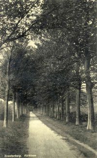 Gezicht in de Kerklaan met rijen loofbomen te Soesterberg (gemeente Soest) in de periode 1928-1933. Bron: Het Utrechts Archief, catalogusnummer: 14621.