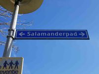 Straatnaambord 'Salamanderpad' op het vroegere steenfabriekterrein Ruimzicht. Straatnaam vastgesteld door het college van burgemeester en wethouders van Utrecht van maandag 20 maart 1989. Foto: Sander van Scherpenzeel.