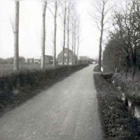 Zicht op de Lobbedijk richting het noorden in 1960. Met rechts de grond die ooit van familie Strick van Linschoten is geweest. Foto: Regionaal Archief Zuid-Utrecht (RAZU), 353.