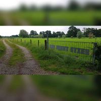 Zicht op het Hek 'Koe zoekt stier' (rechts) bij de vroegere oprijlaan naar boerderij Numeri die lang geleden is afgebroken gezien vanaf de Rhijnauwenselaan in juni 2021. Foto: Sander van Scherpenzeel.
