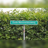 Straatnaambord 'Oude Mereveldseweg' in groen uitgevoerd. Met de betekenis in de gemeente Houten dat je je in het buitengebied van de gemeente bevindt. Foto uit augustus 2012, Sander van Scherpenzeel.