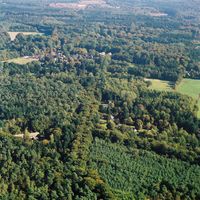 De bossen bij het dorp Lage Vuursche in oktober 2003. Bron: Provincie Utrecht, Henk Bol.