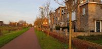 Huizen aan het Schoneveldsepad en Park Schoneveld met er achter gelegen de Draagmuur in november 2020. Foto: Sander van Scherpenzeel.