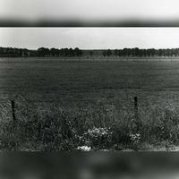 Gezicht vanaf de Utrechtseweg met op de achtergrond de laan van Heemstede in 1979 op het terrein waar bedrijventerrein Doornkade aangelegd zou gaan worden. Foto: Regionaal Archief Zuid-Utrecht (RAZU), 353.