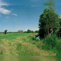 Gezicht op de weilanden langs de Leedijk te Houten, uit het zuidwesten, op de achtergrond de kruising met de Beusichemseweg op 1 juli 1996. Bron: Het Utrechts Archief, catalogusnummer: 828345.