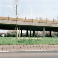 Gezicht op het viaduct in de Waterlinieweg bij 't Goyplein te Utrecht. Op de voorgrond bloeiende narcissen op woensdag 9 april 1997. Bron: Het Utrechts Archief, catalogusnummer:	 838599.