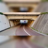 Tunnel onder de Staatslijn H (Utrecht-&#039;s-Hertogenbosch) en het Vlierpad in september 2021 (3). Foto: Sander van Scherpenzeel.
