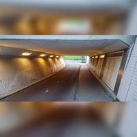 Tunnel onder de Staatslijn H (Utrecht-&#039;s-Hertogenbosch) en het Vlierpad in september 2021 (9). Foto: Sander van Scherpenzeel.