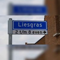 Straatnaambord 'Liesgras' in augustus 2021. Foto: Sander van Scherpenzeel.