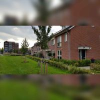 Huizen aan de Anemonentuin met links het Overdamsepad gezien in augustus 2021. Foto: Sander van Scherpenzeel.