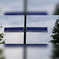 Straatnaamborden 'Anemonentuin' en 'Hyacintentuin' in de wijk Houten Zuidoost gezien in augustus 2021. Foto: Sander van Scherpenzeel.