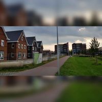 Zicht op het Overdamsepad met links de woningen het Baardgras in augustus 2021. Foto: Sander van Scherpenzeel.