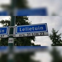 Straatnaambord 'Lelietuin' gezien in augustus 2021. Foto: Sander van Scherpenzeel.