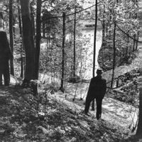 Gezicht in het bos van het landgoed Amelisweerd te Bunnik in 1952. Bron: Het Utrechts Archief, catalogusnummer: 44314.