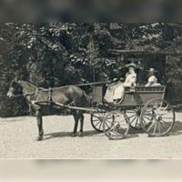 Jkvr. Van Rappard op de bokkenwagen in ca. 1900. Fotocollectie: Ewoudina Louisa Elisabeth (E.L.E.) Röell - van Rappard (1857-1915).
