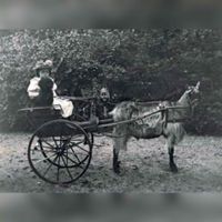 Jkvr. Van Rappard op de bokkenwagen in ca. 1900. Fotocollectie: Ewoudina Louisa Elisabeth (E.L.E.) Röell - van Rappard (1857-1915).