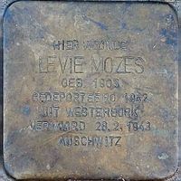 De Struikelsteen aan de Korenmolen 7 die herinnert aan de Joodse bewoner Levie Mozes die in de Tweede Wereld Oorlog aan de Odijkseweg woonde en werd afgevoerd naar een concentratiekamp. Steen gelegd in oktober 2021. foto: Sander van Scherpenzeel.